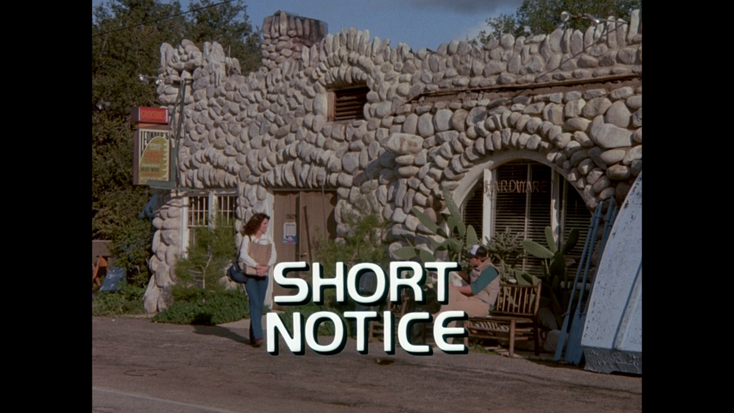 #21 - "Short Notice" Soundtrack