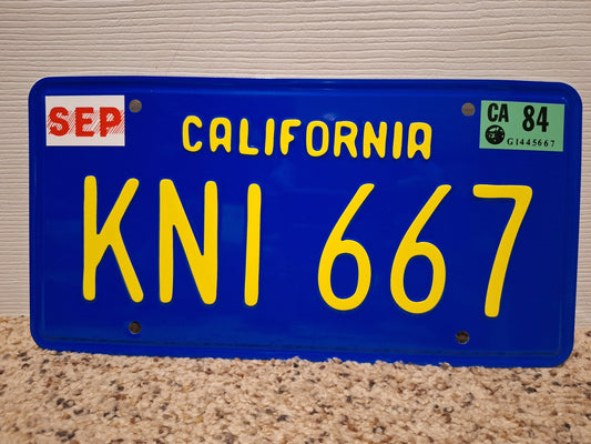 Screen Accurate KNI 667 License Plate w/Tags