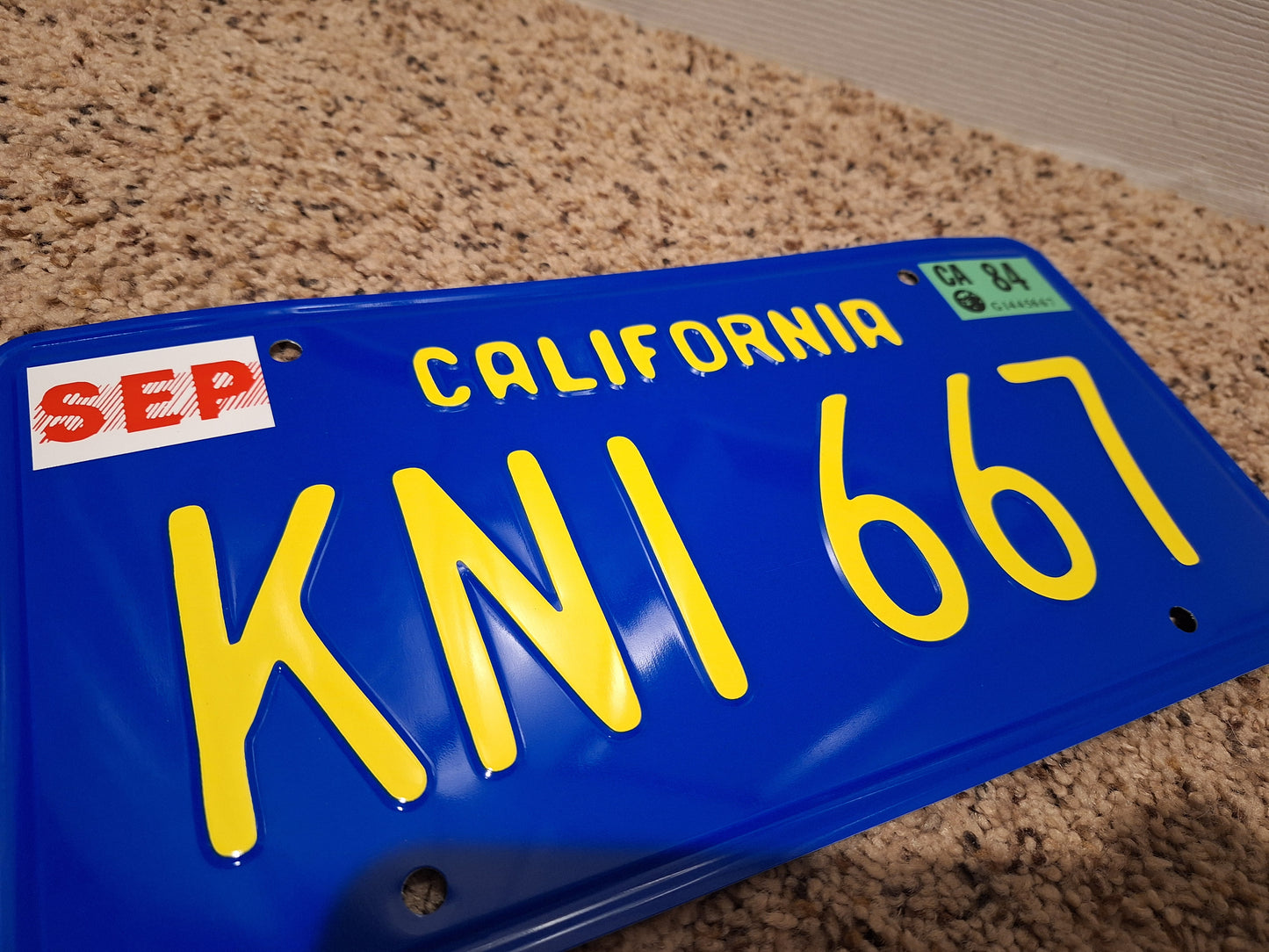 Screen Accurate KNI 667 License Plate w/Tags