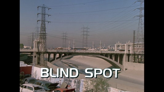 #25 - "Blind Spot" Soundtrack