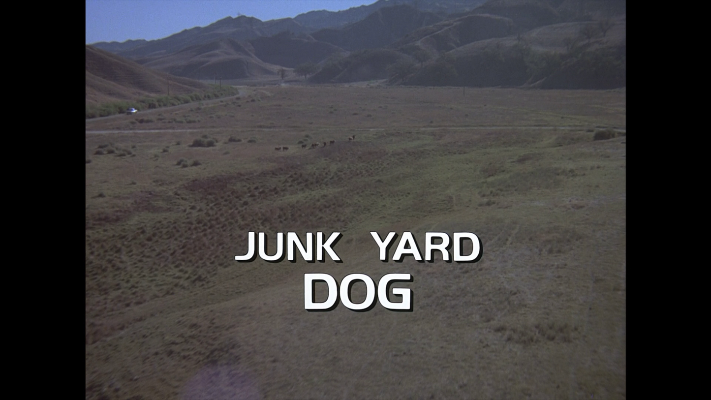 #55 - Junk Yard Dog Soundtrack